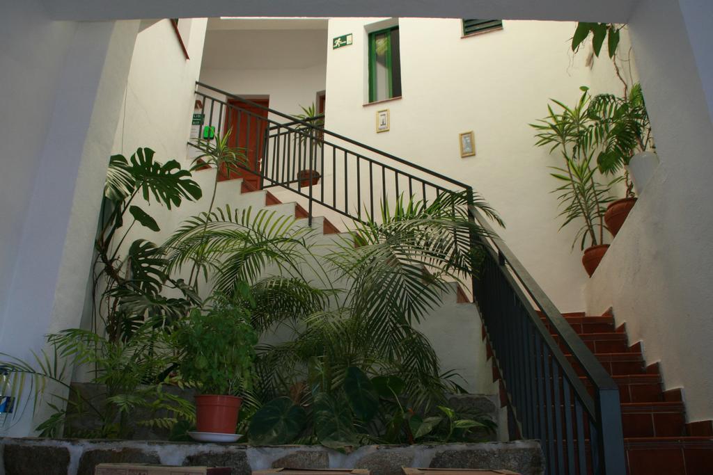 La Palma Hostel By Pension Central Фуэнкальенте-де-ла-Пальма Экстерьер фото